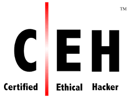 ethical hacker